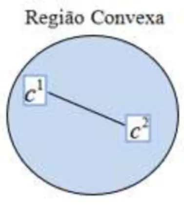 Figura 3.1- Região convexa 