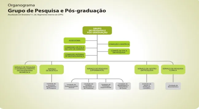 Figura 5:Representação Gráfica do organograma do Grupo de Pesquisa e Pós-Graduação 