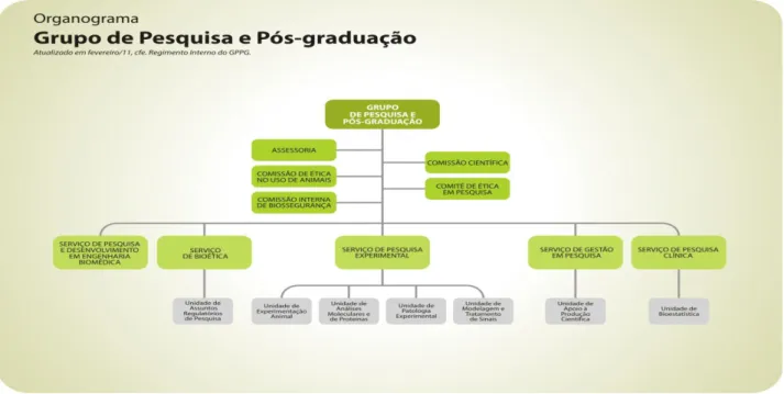 Figura 5: Representação Gráfica do organograma do Grupo de Pesquisa e Pós-Graduação 