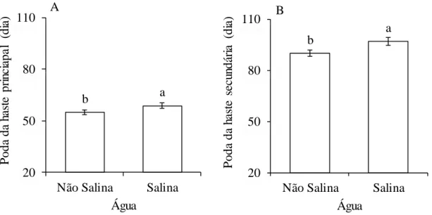 Figura 1.4 Valores médios ± erro padrão para o período do transplantio das mudas à poda da  haste principal (A) e secundária (B) do maracujazeiro-amarelo em resposta à salinidade da água  de irrigação