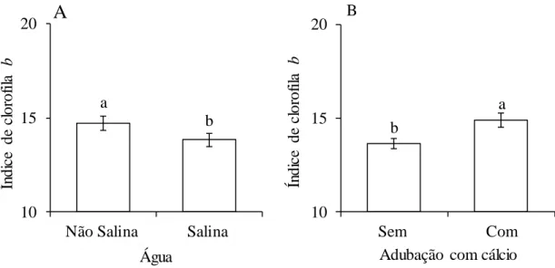 Figura  2.4  Valores  médios  ±  erro  padrão  para  a  índices  de  clorofila  b  em  folhas  de  maracujazeiro-amarelo  ,  em  resposta  a  salinidade  da  água  de  irrigação  (A)  e  adubação  com  cálcio (B)