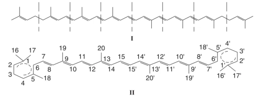 Figure 2.1. Structure and numbering of the carotenoid carbon skeleton. (Source: Shahidi et al., 1998.)