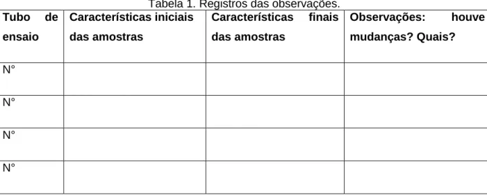 Tabela 1. Registros das observações. 