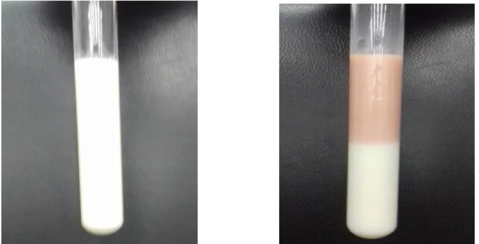 Figura 9: Amostra do leite antes do teste (esquerda) e após o teste (direita). 
