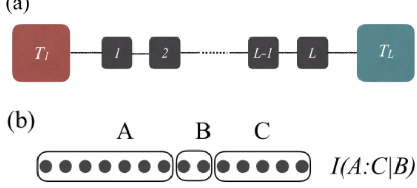 Figure 6.1: (a) A boundary-driven one-dimensional quantum chain subject to two thermal reservoirs at each end
