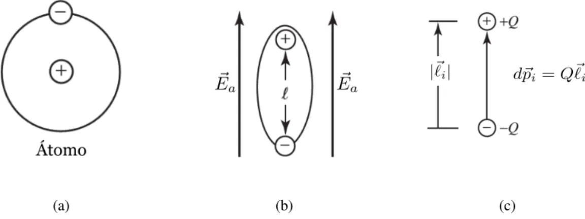 Figura 2.5: (a) Representação de um átomo eletricamente neutro. (b) Átomo submetido a um campo externo estático E a 