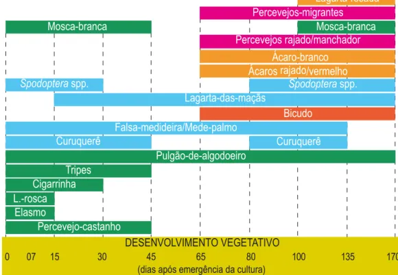 Gráfico de ocorrência das pragas do algodoeiroIntrodução