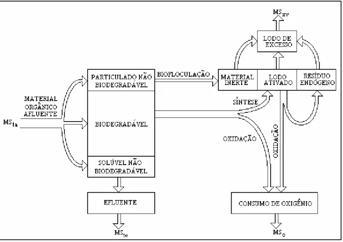 Figura  3.2  -  Representação  esquemática  dos  processos  básicos  que  ocorrem  no  sistema  de  lodos ativados (Fonte: Dias, 1982; van Haandel, 1981) 