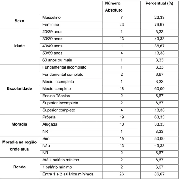Tabela 02: Perfil socioeconômico dos Agentes de Combate às Endemias/Eldorado. 