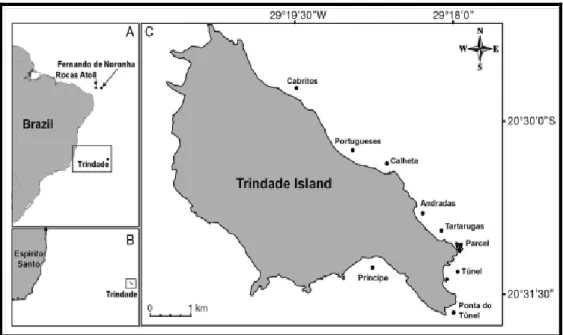 Figura 2: Área de estudo e localização das praias na Ilha de Trindade. Fonte: Almeida et al
