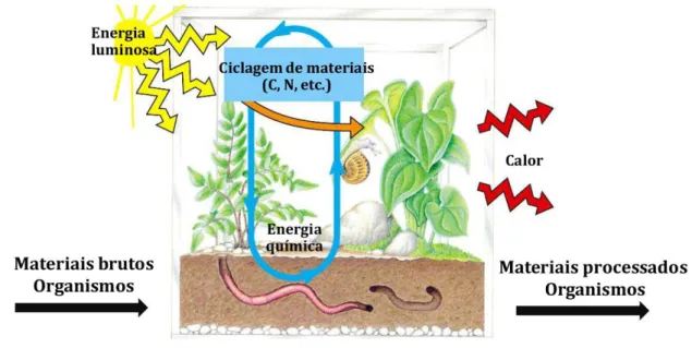 Figura 1 – visão de um ecossistema 