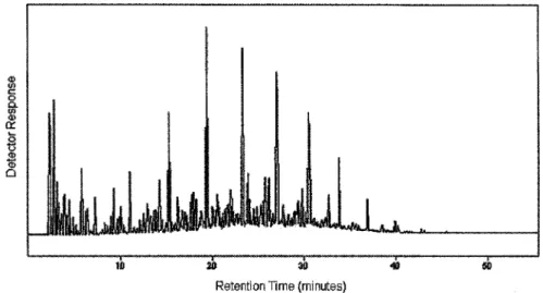 FIGURE 3.14 Chromatogram of a sample of jet A fuel contaminated with gasoline on 30-m × 0.25-mm-i.d