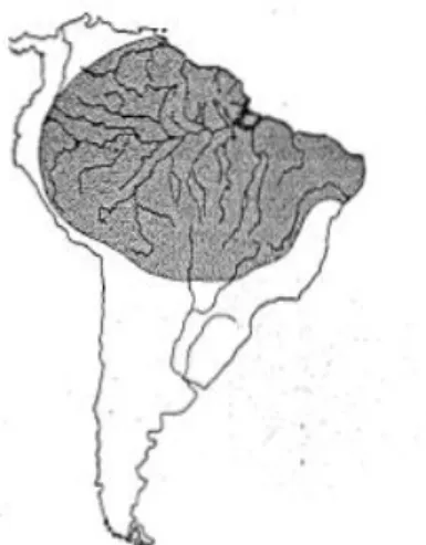 Figura 1: Área de distribuição geográfica de M. amazonicum. 