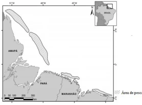 Figura 1- Áreas de pesca de camarão na costa norte do Brasil. Fonte: Cintra et al. (2015, p.63)