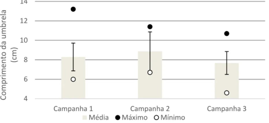 Figura  5-  Valores  máximos,  mínimos  e  médios  dos  diâmetros  da  umbrela  dos  indivíduos  da  espécie  Chiropsalmus quadrumanus provenientes da pesca de arrasto de camarão na plataforma continental brasileira