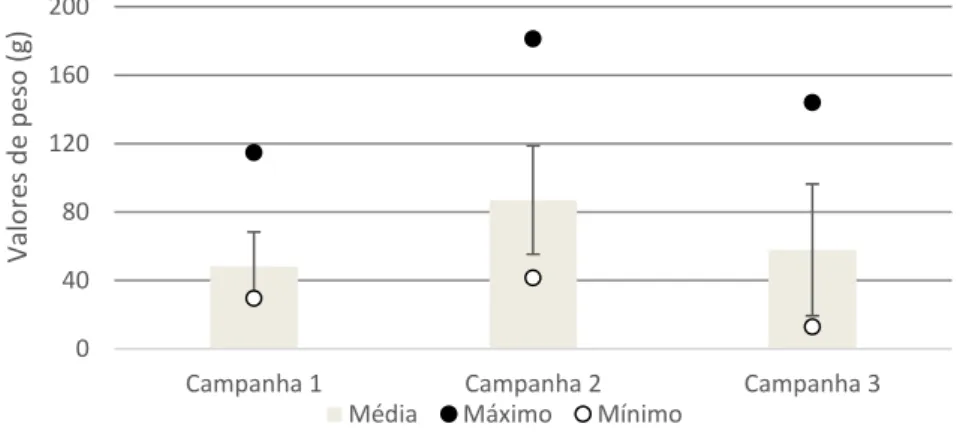 Figura  7-  Valores  máximos,  mínimos  e  médios  dos  pesos  úmidos  dos  indivíduos  da  espécie  Chiropsalmus  quadrumanus provenientes da pesca de arrasto de camarão na plataforma continental brasileira