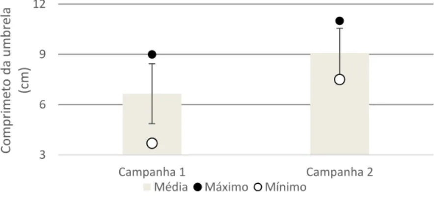 Figura  9-  Valores  máximos,  mínimos  e  médios  dos  diâmetros  da  umbrella  dos  indivíduos  da  espécie  Stomolophus meleagris provenientes da pesca de arrasto de camarão na plataforma amazônica