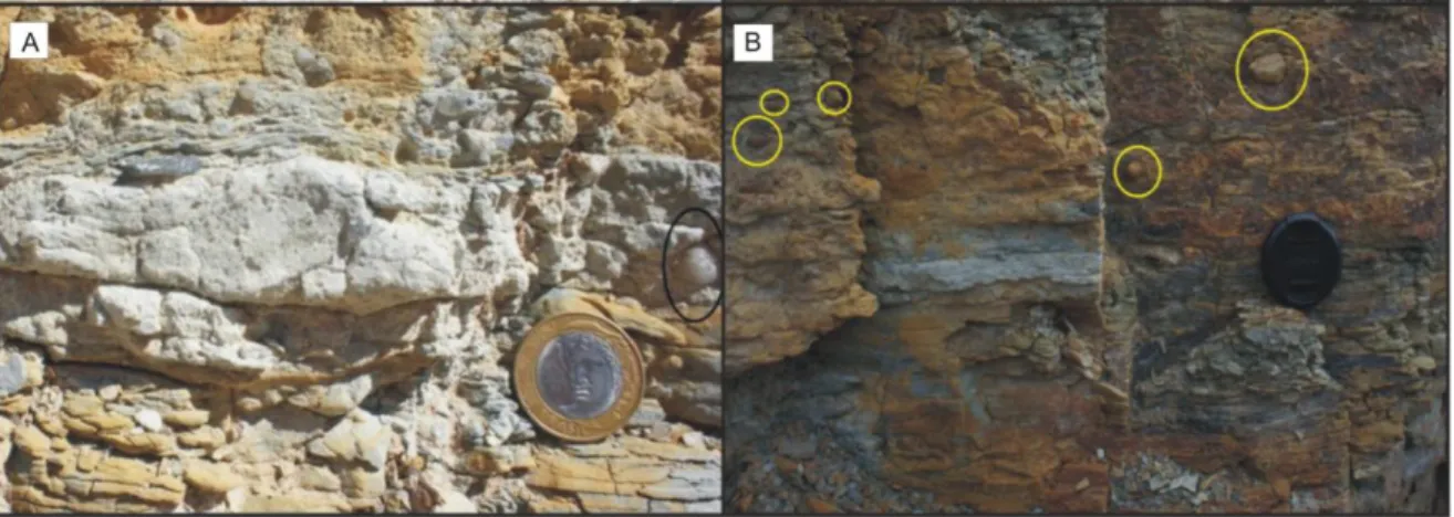 Figura  15  -  Depósitos  da  Formação  Tianguá  -  AF4.  A)  Arenito  com  estrutura  em  Dump    e  dropstone  de  composição  quartzosa  (elipse  preta);  B)  Fácies  Pelitos  laminados  com  dropstones  (círculos amarelos)