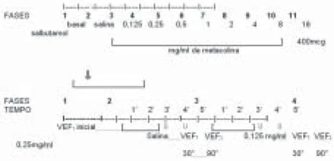 Figura 1 – Esquema das fases do teste de broncoprovocação.