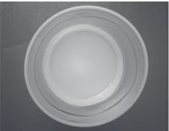 Figura 2 – Protótipo de Coleta (vista anterior).