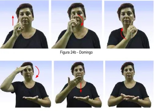 Figura 24b - Domingo