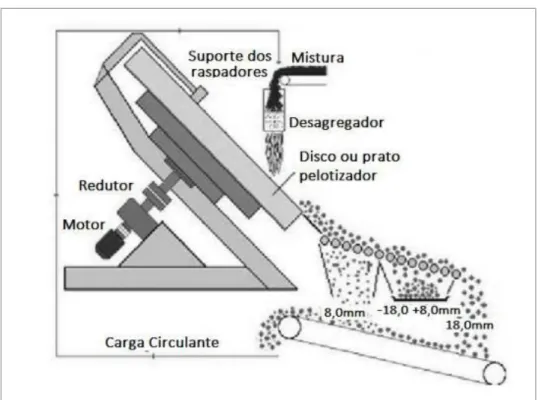 Figura 5 - Disco de pelotamento. 