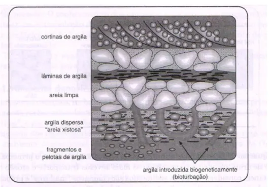 Figura 7 - Tipos de distribuição da argila. 