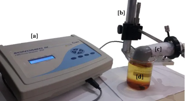 Figura 4 – Arranjo experimental utilizado na produção de biodiesel assistida por ultrassom