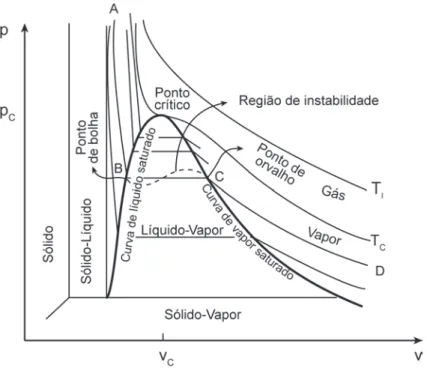 Figura 3.5 Diagrama p-v.