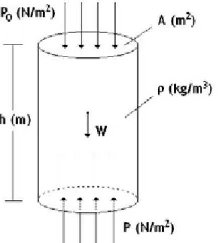 Figura 5 Pressão hidrostática.