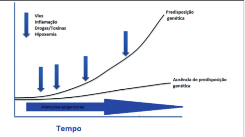 Figura 1. Progressão da hipertensão pulmonar.