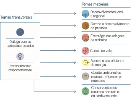 Figura 4 - Temas materiais e transversais para gestão da sustentabilidade  