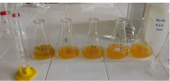 Figura 4- Determinação do cloreto em laboratório 