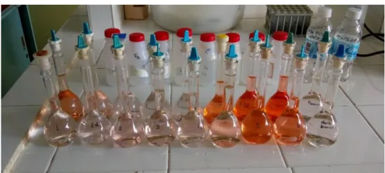 Figura 3- Determinação do ferro total em laboratório 