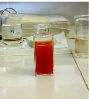 Figura 3- Determinação do amônio em laboratório 