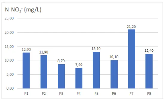 Gráfico 5- Comparação das amostras em nitrato 