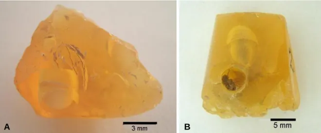 Figura  7:  Opalas  laranja  contendo  bolhas  nas  quais  há  revestimento  interno  por  uma  película branca