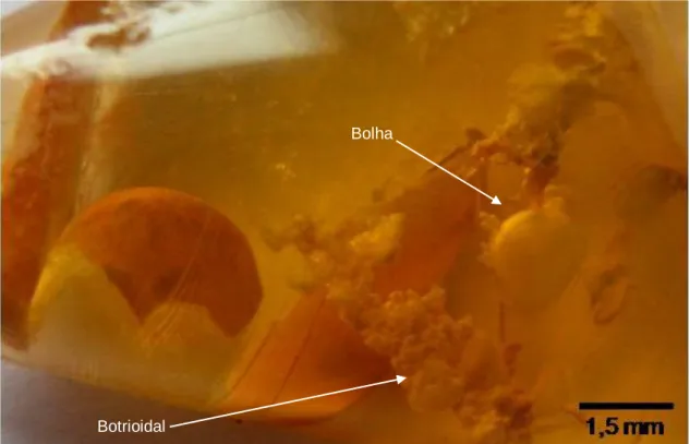 Figura 6: Opala laranja contendo diferentes tipos de inclusões, das quais, destacam-se as  bolhas e formas botrioidais