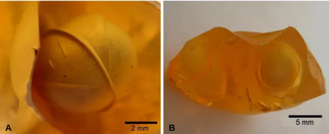 Figura 8: Opalas laranja com bolhas revestidas internamente por uma película branca. 