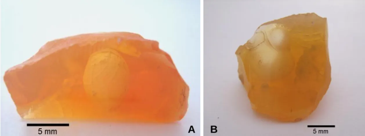 Figura  10:  Amostras  de  opala  laranja  contendo  bolhas.  Em  A,  a  bolha  é  revestida  internamente por uma película branca, ausente em B