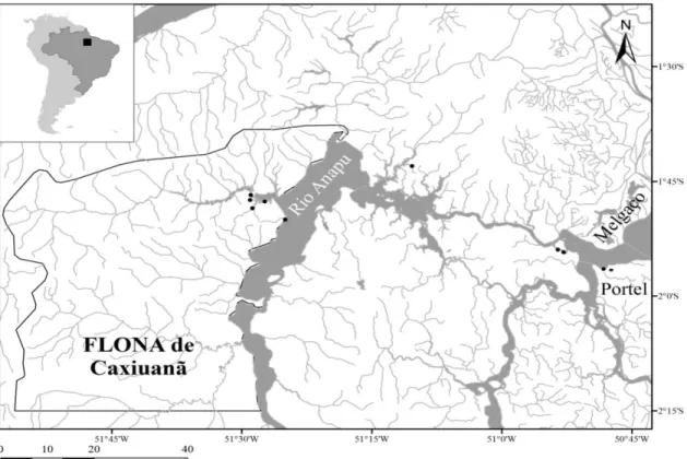 Figura 3 - Localização da floresta nacional de Caxiuanã, PA. Os pontos indicam os igarapés onde  ocorreram as coletas