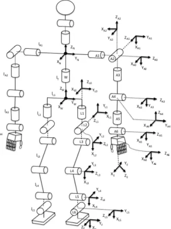 Figura 8 – Orientação das juntas do robô humanoide Wabian-2.