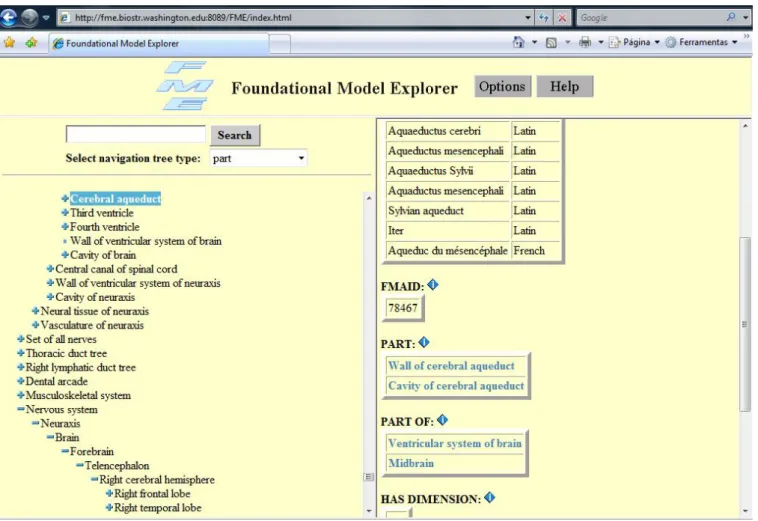 Fig. 2: O Foundational Model Explorer (FME), navegador que permite interação com a formalização do FMA.
