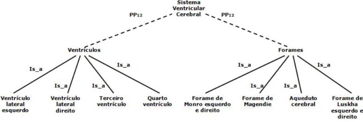 Fig. 11: Árvore taxonômica das estruturas que compõem o sistema ventricular cerebral.