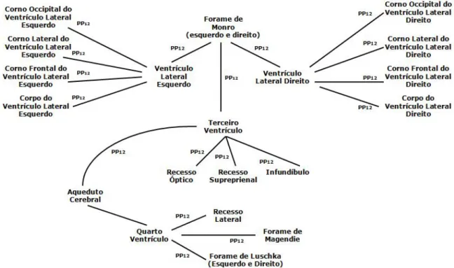 Fig. 12: Árvore taxonômica baseada na partonomia das regiões ventriculares.