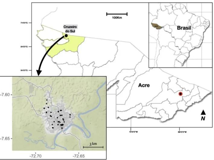 Figura 1.  Localização da área de estudo, Brasil, Acre, Rio Juruá e área urbana do  Município de Cruzeiro do Sul (no detalhe) com a indicação dos 27 locais de amostragem da 