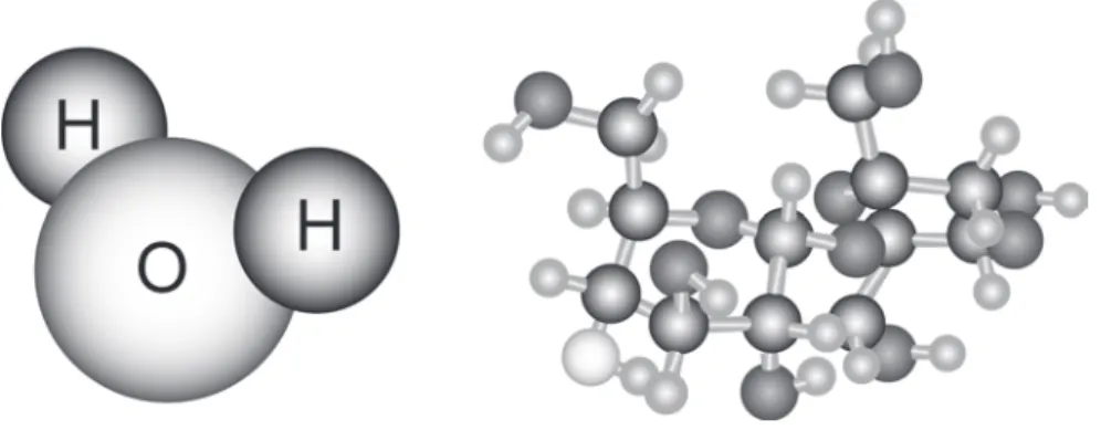 Figura 36  Representação esquemática das estruturas das moléculas de água (à es- es-querda) e sacarose (à direita).