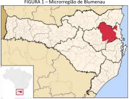 FIGURA 1 – Microrregião de Blumenau 