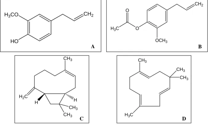 Figura  4.  Estruturas  do  eugenol  (A),  do  acetato  de  eugenol  (B),  do  β -cariofileno  (C),  e  do  humuleno (D)