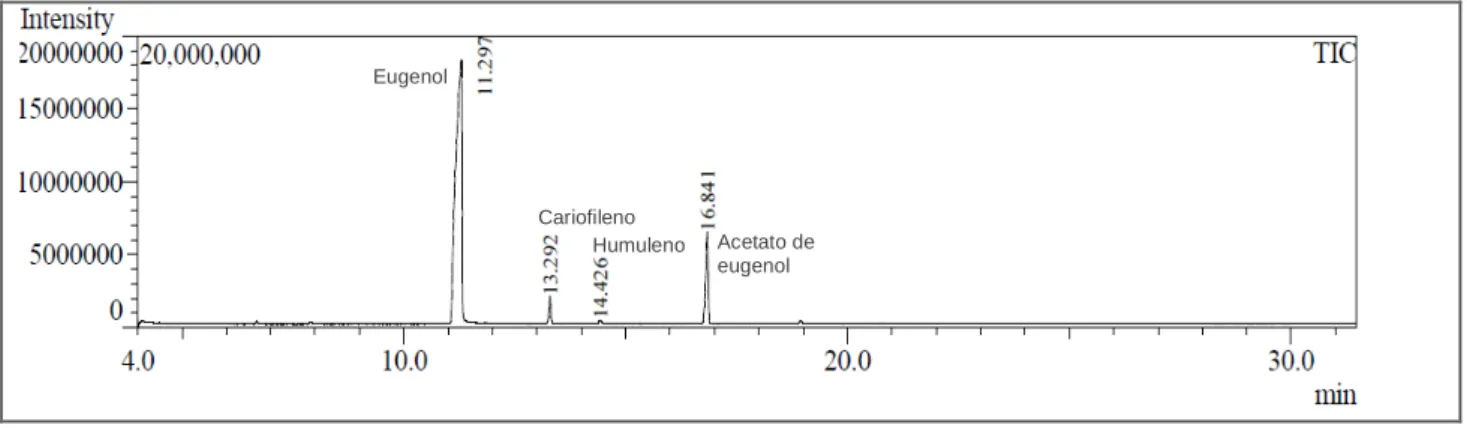 Figura 8: Cromatograma obtido por CG/EM do óleo essencial de cravo-da-índia, com destaque para os  componentes majoritários